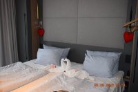 das zu meldende Bild