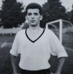 das zu meldende Bild